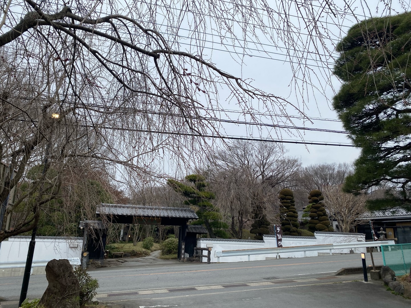 昨日は
一日中雨降りで花冷え
冬物を引っ張り出しお出掛け
蕎麦好きの私たちですが
なかでも別格の存在は
赤城の『桑風庵本店』
2人で七合盛りを平らげ大満足
いつ何度食べても
初めて食べた時と感動が湧いてくる
そんな蕎麦をつくってくれて
ありがとうと手を合わせたくなります
ランチタイムを避ければ
並ぶことなく入れますよ
足利市唯一の腸活ダイニング
麹freakでは
蕎麦と見間違う
七穀うどん納豆麹和が大人気
納豆と麹のハーモニーは
栄養面においても最強タッグ
納豆菌は生きたまま胃を通過し
善玉菌の餌となり悪玉菌を抑制
納豆キナーゼが血液をサラサラに
麹菌の酵素が消化吸収を促し
生成されるオリゴ糖が
腸内環境を整えます
腸が整うと体の不調だけでなく
メンタルにも良い影響を与え
髪質や肌荒れなどの改善にも繋がります
また食べた事のない方も
是非お試しくださいませ
18時オープン
駐車場店舗前10台
お支払い 現金又はクレジットカード
木曜定休