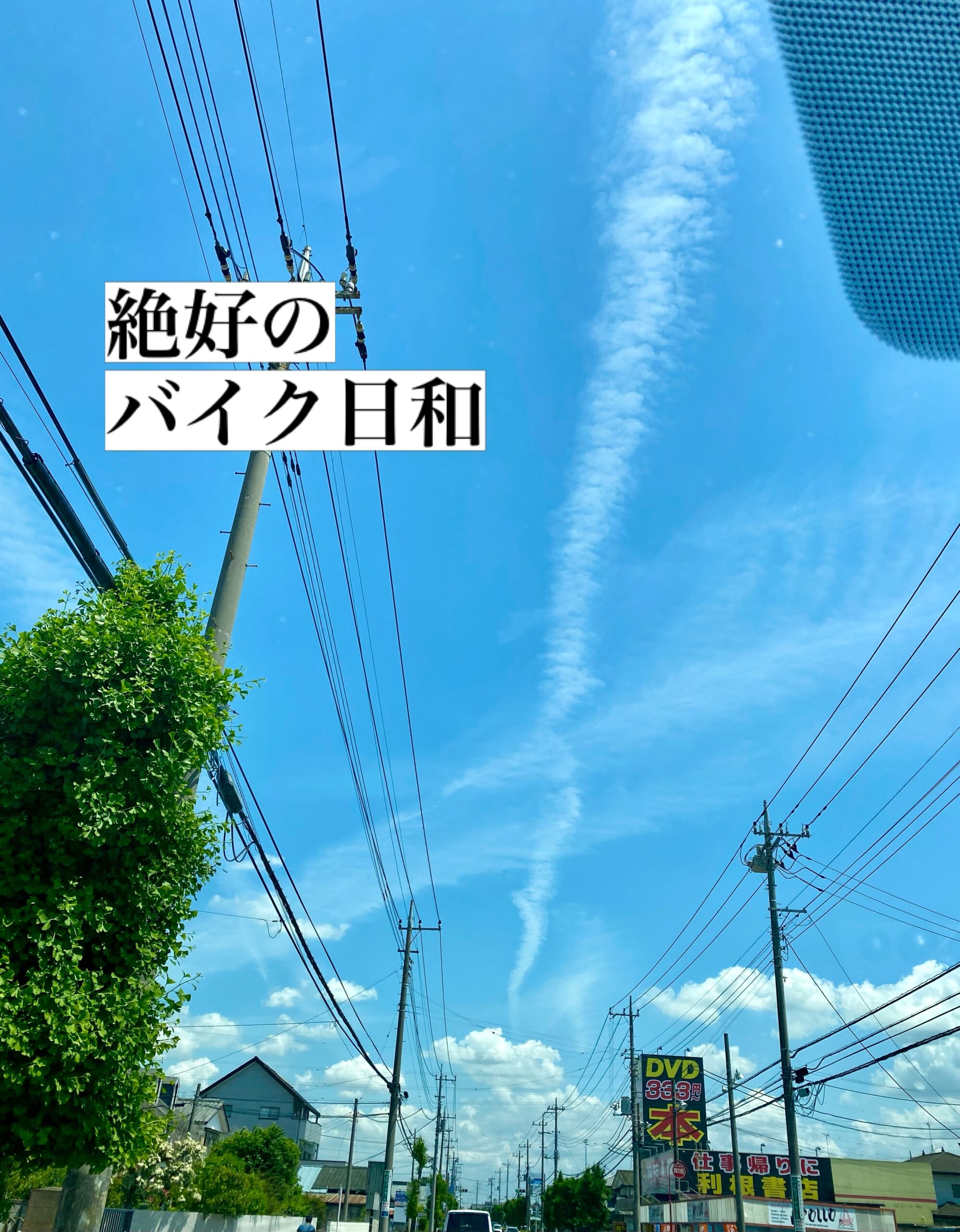 毎日快適な日が続いている
酷暑が来る前に
相棒と走りましょう🏍️

昨日は母の日だったので
女性限定でトルコ桔梗をプレゼント

この日外食の予約をした
お嬢さんの気持ちが
ママはとっても嬉しそう
微笑ましくて
幸せな気持ちになりました

私の母は骨を海に撒いたので
お墓参りも法要も仏壇もない

母は誰よりも早く起きて
家族のために冬は部屋を暖かくし
夏は涼しい夜を準備していた

面に感情を表さない人だったけど
私を呼ぶ声はいつも笑っていた

アカギレの滲む手も
何年も同じ服を着ていたことも
鮮明に思いだされる

何をやる時も
私の絶対的な味方だった

自分も母になったけれど
あの人には敵わない

永遠に…

足利市唯一の腸活ダイニング
麹freakは18時オープン

母の日じゃなくても
ありがとうを伝えるお手伝い
させて頂きます

駐車場店舗前10台
お支払い方法 現金又はクレジットカード
ご予約はDM／お電話にて